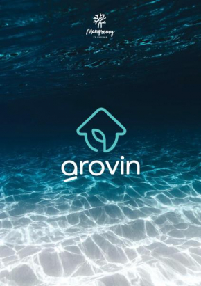 Mangroovy Residence El Gouna - Grovin